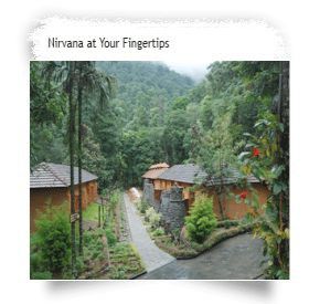 Blue Ginger Wayanad Resorts Экстерьер фото